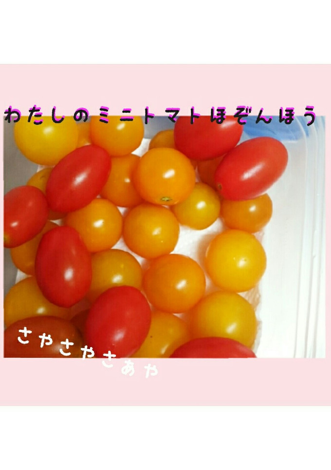 わたしのミニトマトの保存法-レシピのメイン写真