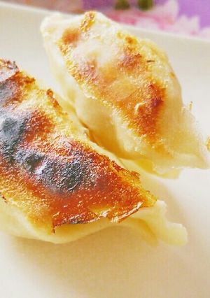 ベジ餃子で満腹-レシピのメイン写真