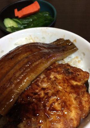 夏バテとお財布に優しい〜ハーフうな丼-レシピのメイン写真