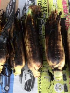 農家の美味しい焼きとうもろこし-レシピのメイン写真