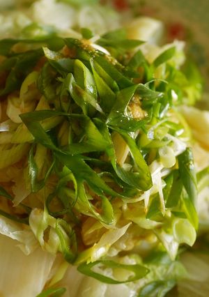 超簡単！白菜と長葱のあつあつごま油サラダ-レシピのメイン写真