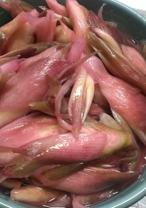 ミョウガの甘酢漬け-レシピのメイン写真