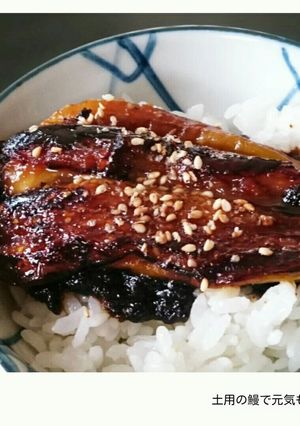土用丑の日は元気もりもり-レシピのメイン写真