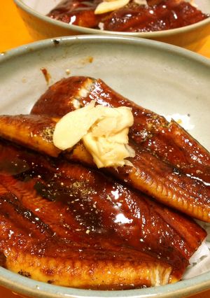 ヘルシオでまるで炭火焼!ふっくら鰻丼-レシピのメイン写真