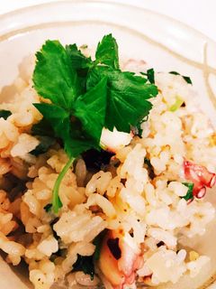 たこ飯-レシピのメイン写真