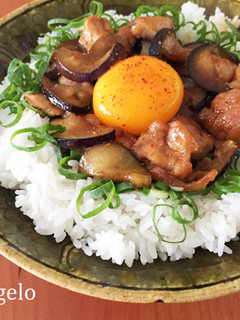 鶏と茄子のソース照り焼き丼♪ネギたっぷり-レシピのメイン写真