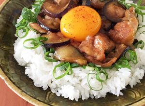 鶏と茄子のソース照り焼き丼♪ネギたっぷり-レシピのメイン写真