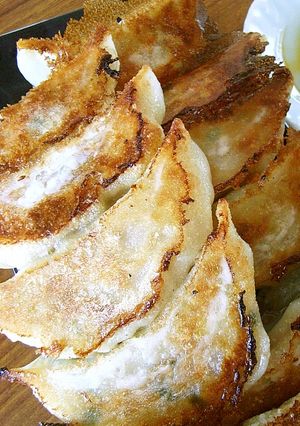 焼き餃子（具～焼き方まで）-レシピのメイン写真
