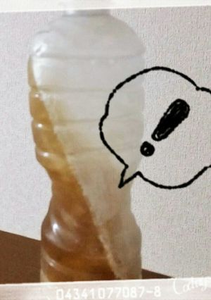 薄まらずすぐ飲めるペットボトルの凍らし方-レシピのメイン写真