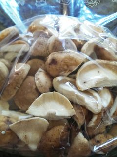 大量しいたけ♪冷凍しいたけ-レシピのメイン写真