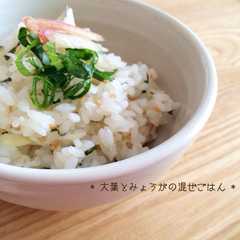 รูปของ * 大葉とみょうがの混ぜごはん *