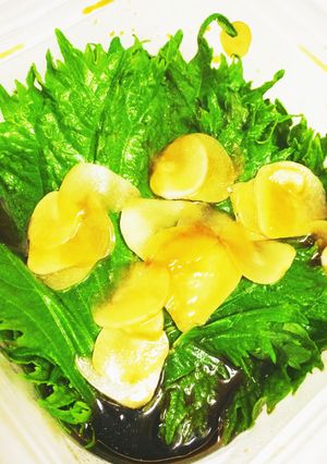 シソの醤油漬け-レシピのメイン写真