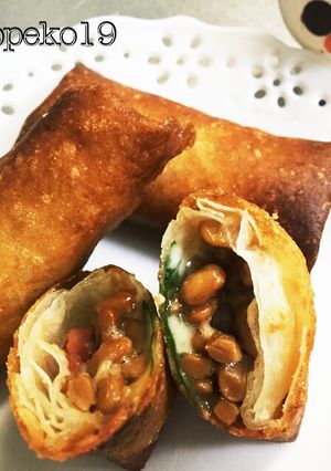 梅納豆ととろけるチーズのミニ春巻き-レシピのメイン写真