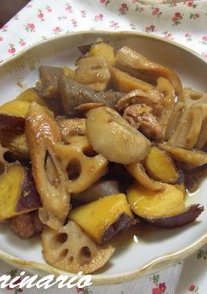 ✿鶏肉とレンコンの煮物✿-レシピのメイン写真