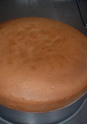共立てスポンジケーキ-レシピのメイン写真