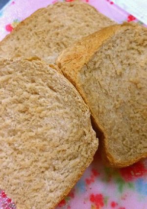 レーズン酵母の元種で天然酵母の玄米食パン-レシピのメイン写真