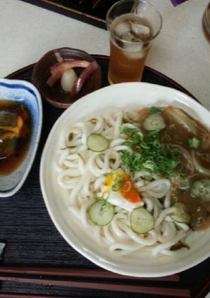 血管ダイエット食420（冷餡かけうどん）-レシピのメイン写真