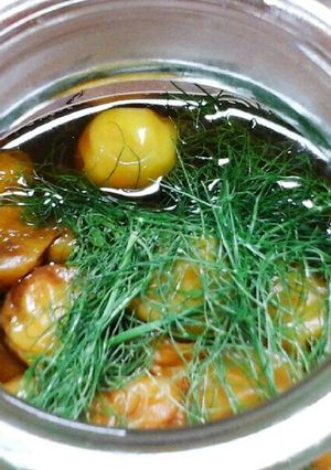 フェンネル入り梅サワー(梅シロップ)-レシピのメイン写真