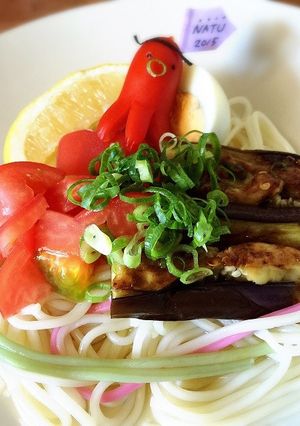 そうめん～綾野菜トッピング～-レシピのメイン写真