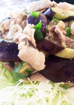 豚バラ薄切り肉となすのニンニク塩炒め-レシピのメイン写真