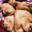 たまごの巾着煮♪