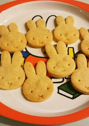 アレルギーっ子の離乳食クッキー-レシピのメイン写真