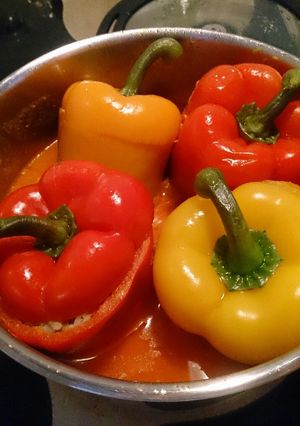 亀流ロシア風パプリカの肉詰め-レシピのメイン写真