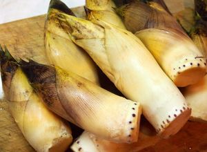 米のとぎ汁で簡単筍の灰汁抜き-レシピのメイン写真