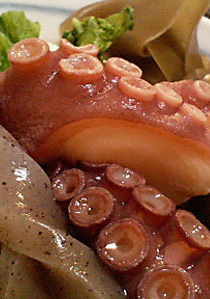 蛸と大根の煮物-レシピのメイン写真