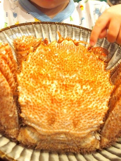 虎杖浜の黒毛蟹を自宅で美味しく茹でる方法-レシピのメイン写真