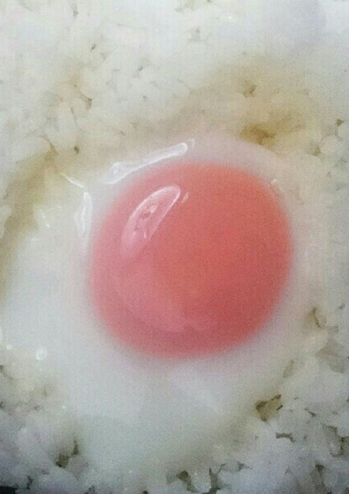 炊飯器で目玉焼き!?-レシピのメイン写真