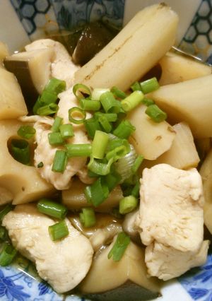 簡単 煮物！蓮根 ごぼう 鶏肉の 和風煮-レシピのメイン写真