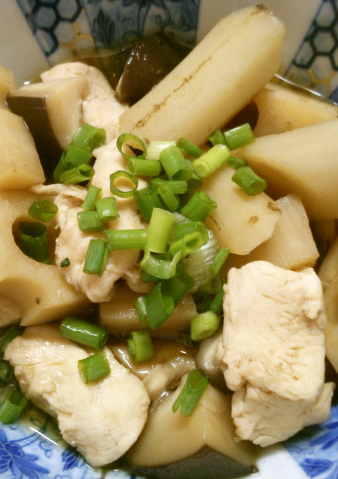 簡単 煮物！蓮根 ごぼう 鶏肉の 和風煮-レシピのメイン写真