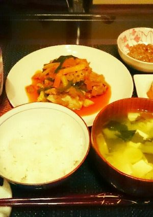 豚肉とキャベツのピリ辛炒め-レシピのメイン写真