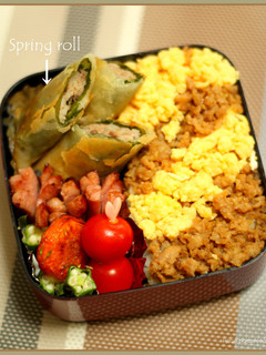 大葉と豚肉の春巻き-レシピのメイン写真