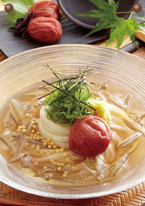 冷やし茶漬けうどん-レシピのメイン写真