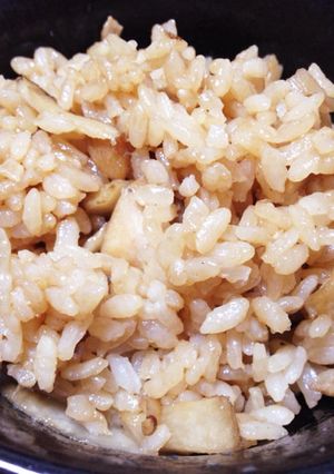 簡単混ぜるだけ！甘辛い美味しい鶏飯-レシピのメイン写真