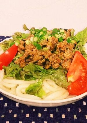 肉味噌たっぷり☆スタミナサラダうどん-レシピのメイン写真