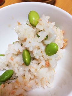 定番人気混ぜごはん-レシピのメイン写真