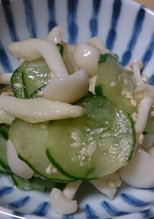 ホワイトブナピーときゅうりの酢の物-レシピのメイン写真
