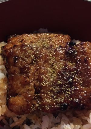 ウナギやアナゴの蒲焼き-レシピのメイン写真