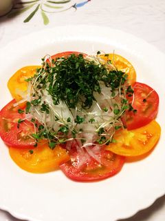 トマトサラダ-レシピのメイン写真