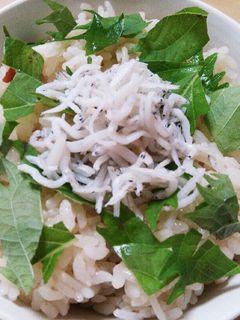 さっぱり味★梅じょうゆしらすご飯-レシピのメイン写真