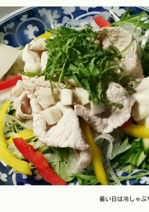 暑い日は冷しゃぶサラダ風-レシピのメイン写真