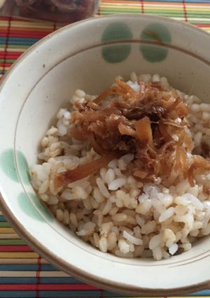 しょうがの辛さがくせになる！新生姜の佃煮-レシピのメイン写真