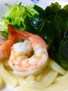 超簡単、冷やしうどん-レシピのメイン写真