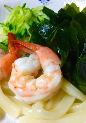 超簡単、冷やしうどん-レシピのメイン写真
