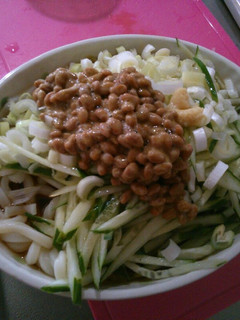 ネギたっぷり納豆・夏うどん-レシピのメイン写真