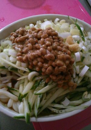 ネギたっぷり納豆・夏うどん-レシピのメイン写真