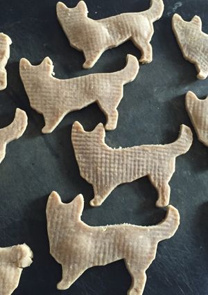 犬用 きなこクッキー-レシピのメイン写真